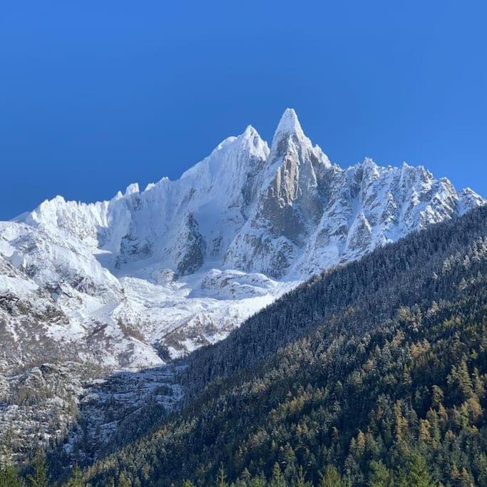 Appartement Belle Vue Des Praz à Chamonix Extérieur photo